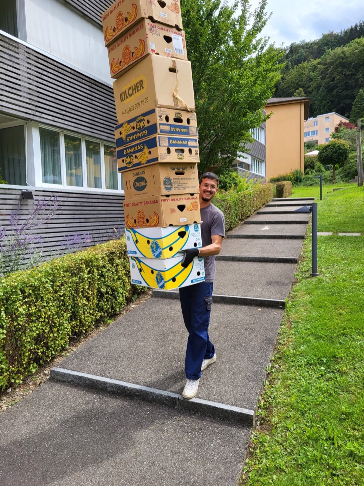 Effiziente Handhabung von Umzugskartons - Erfahrene Mitarbeiter